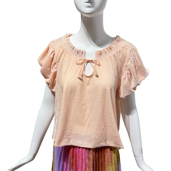 NWOT Free People Terese Velour Crop Top Pink Tint Flutter Balloon Sleeves Size S - Picture 2 of 13